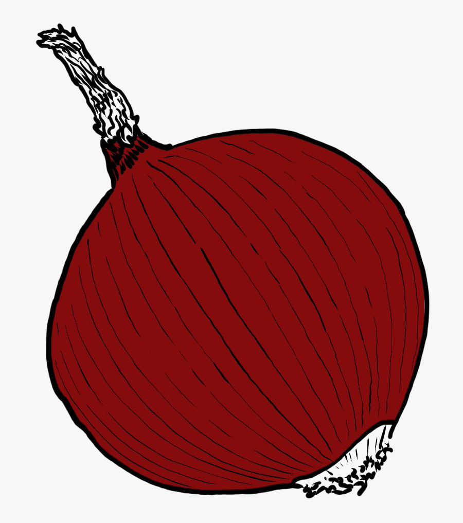 Single Onion Png Image - Illustration, Transparent Clipart