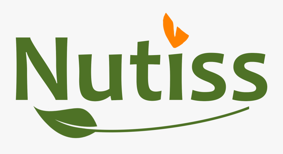 Nutiss - Illustration, Transparent Clipart