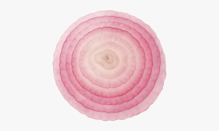 1 Slice Of Onion, Transparent Clipart