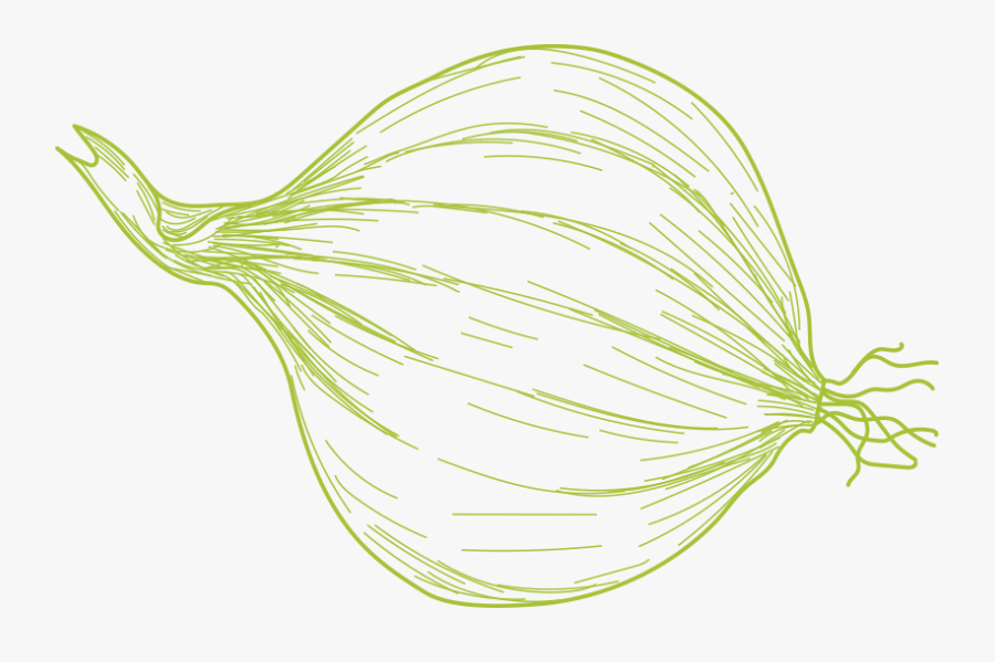 Fish, Transparent Clipart