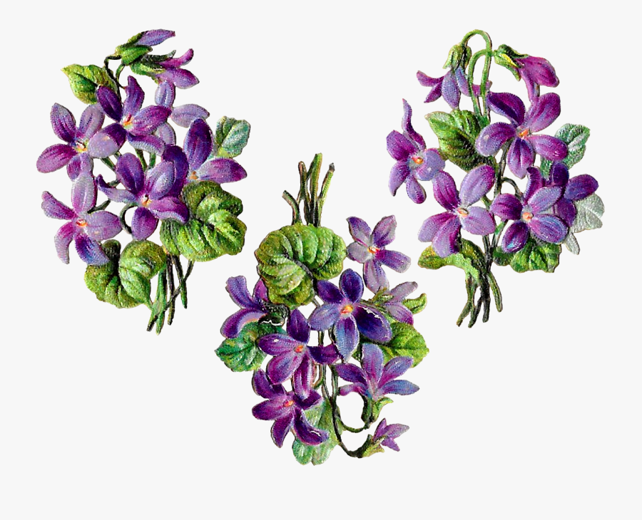 Flower Digital Bundle Wildflower Floral Craft Collage - Viola, Transparent Clipart