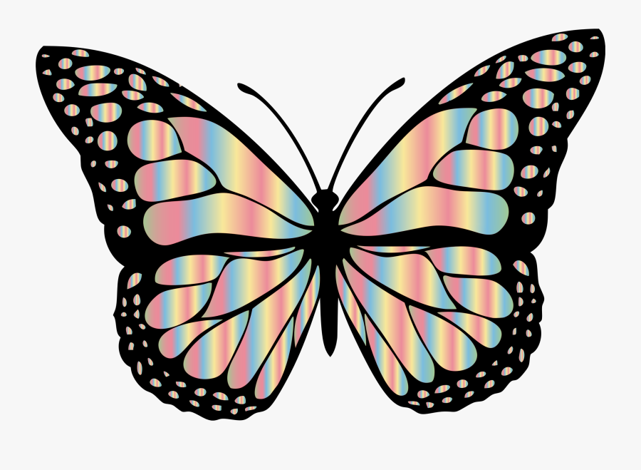 Butterfly,arthropod,line - Redbubble Butterfly Sticker, Transparent Clipart