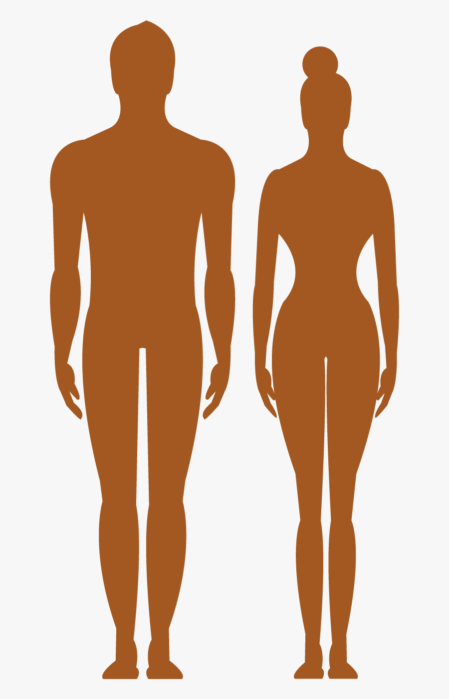 Human Body Silhouette Clip Art, Transparent Clipart
