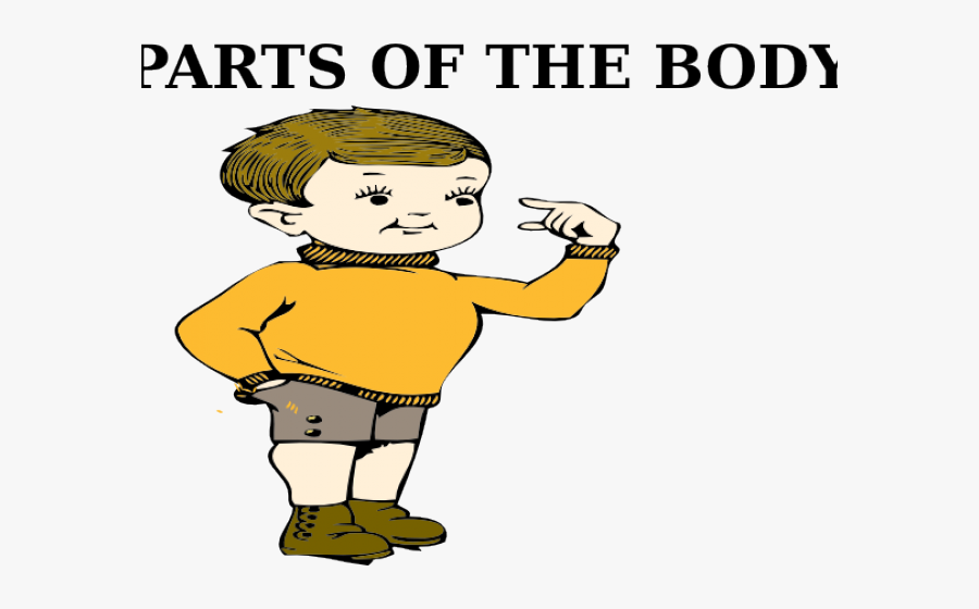 Transparent Png Body Parts, Transparent Clipart