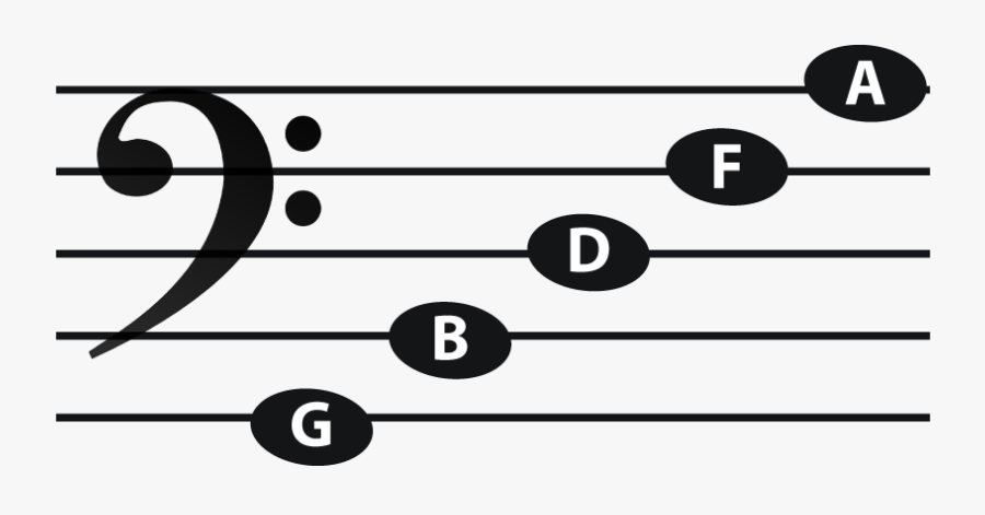 Bass Line Notes, Transparent Clipart