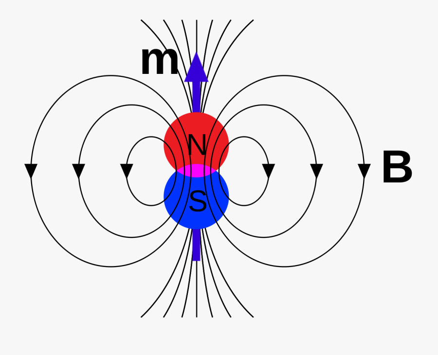 Magnetic Dipole, Transparent Clipart