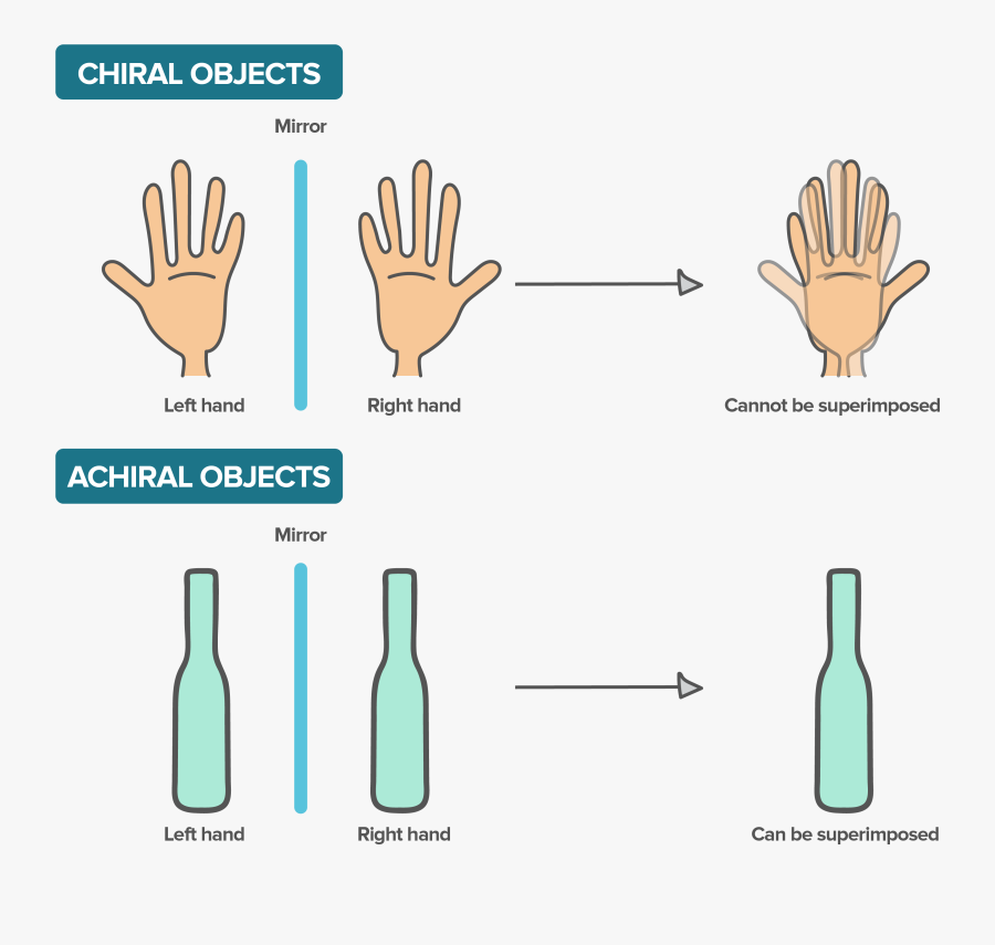 Clip Art Fresh Organic Shape Resume - Superimposable Meaning, Transparent Clipart
