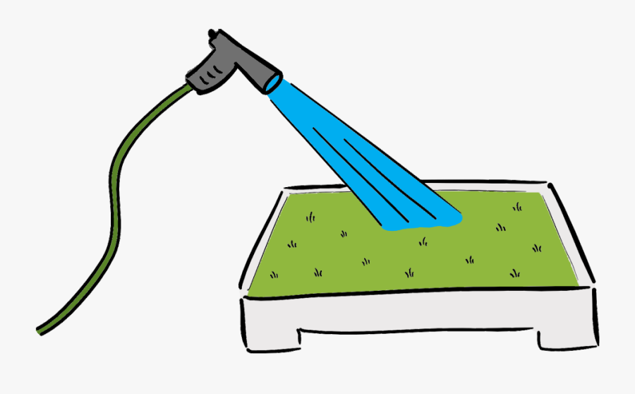 Petgreen Dog Potty Grass Cleaning Step, Transparent Clipart