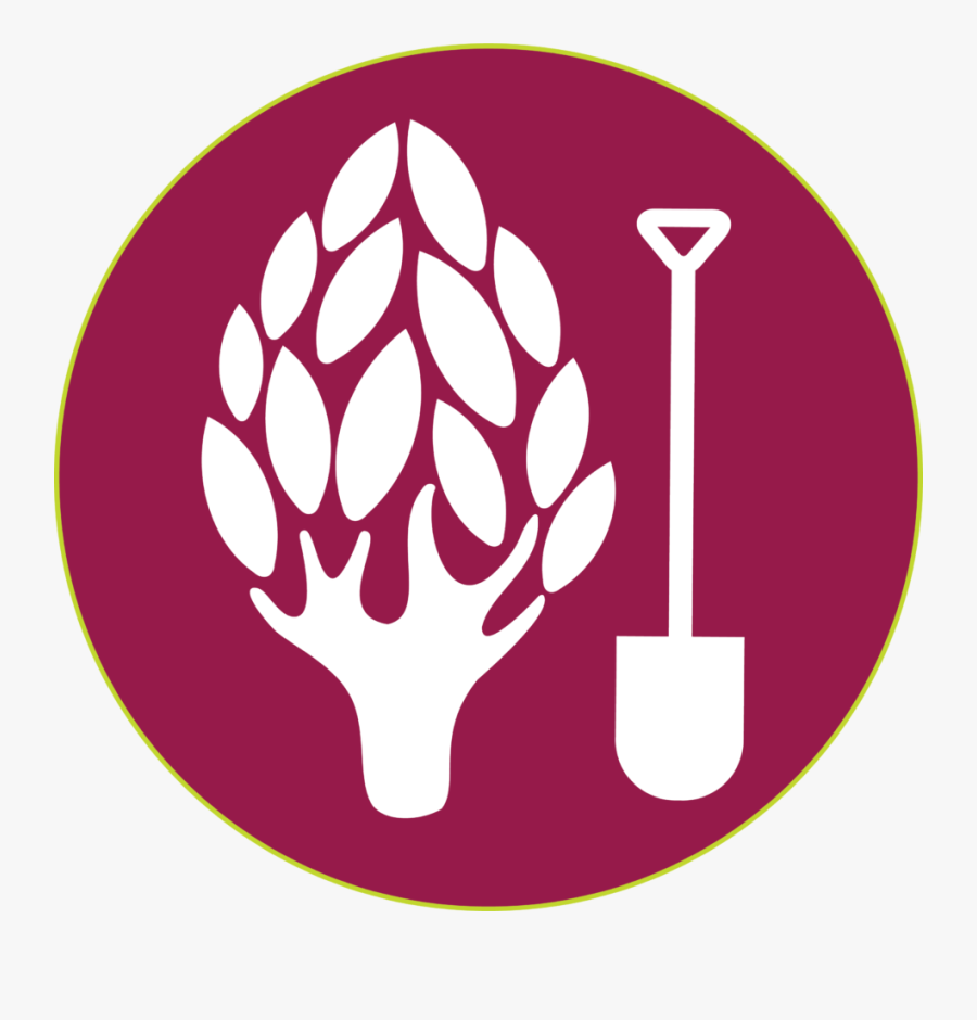 Circle, Transparent Clipart