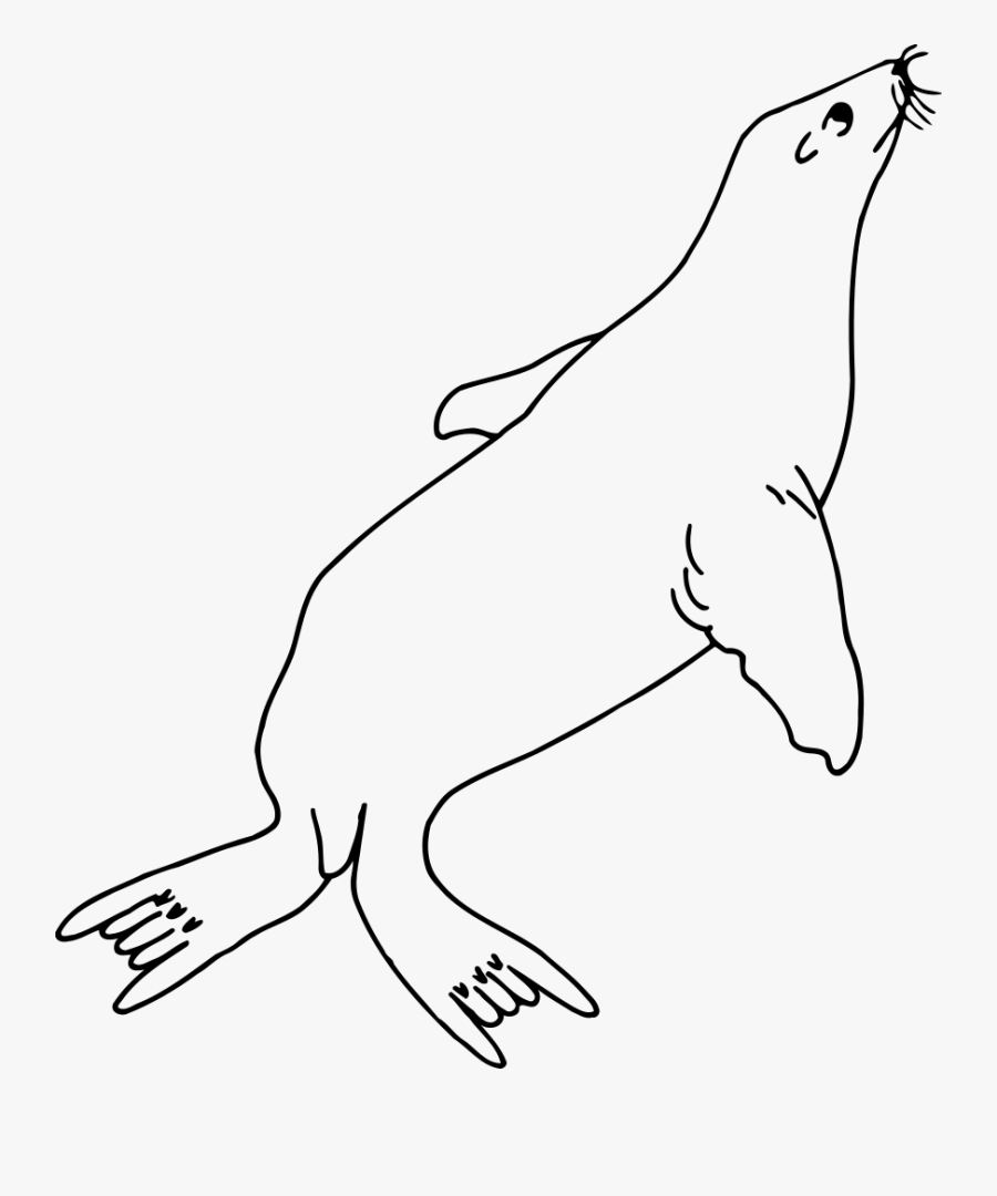 Seal, Transparent Clipart