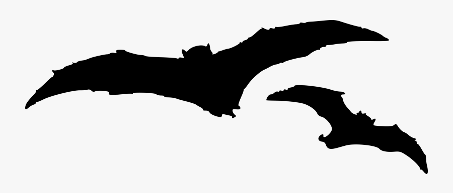 Bats, Transparent Clipart