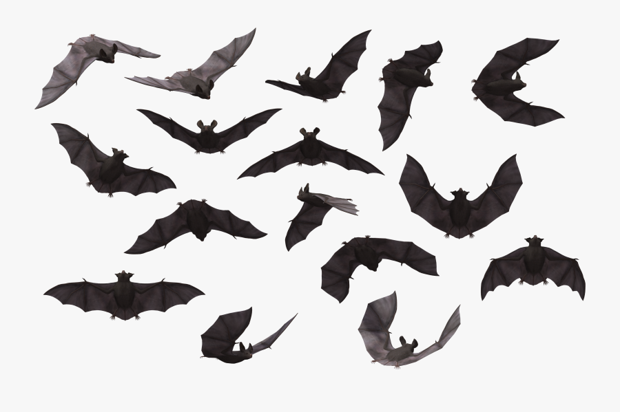 Bat Clip Art, Transparent Clipart