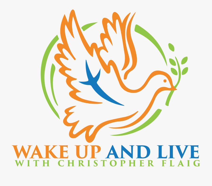 Graphic Design, Transparent Clipart