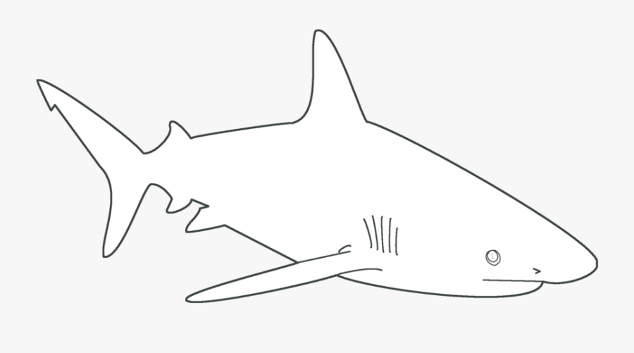 Great White Shark, Transparent Clipart