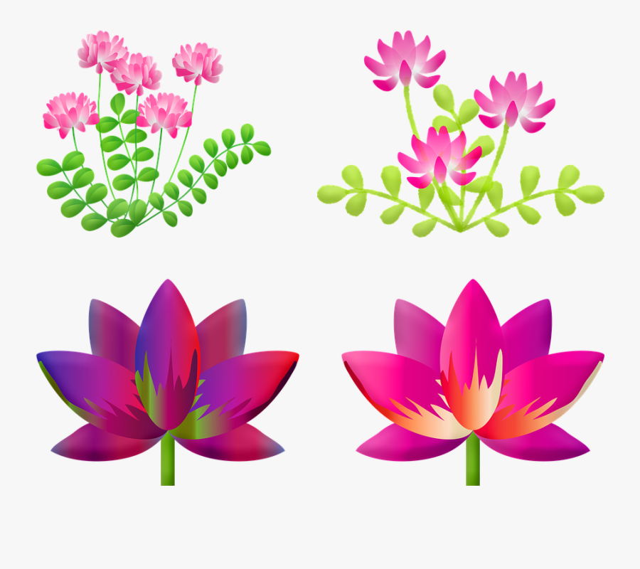 Floral Lotus Flower Lily Flower Nature Pink Pond れんげ の 花 イラスト Free Transparent Clipart Clipartkey
