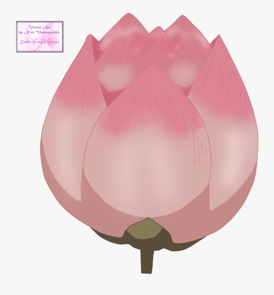 Anime Lotus Flower, Transparent Clipart