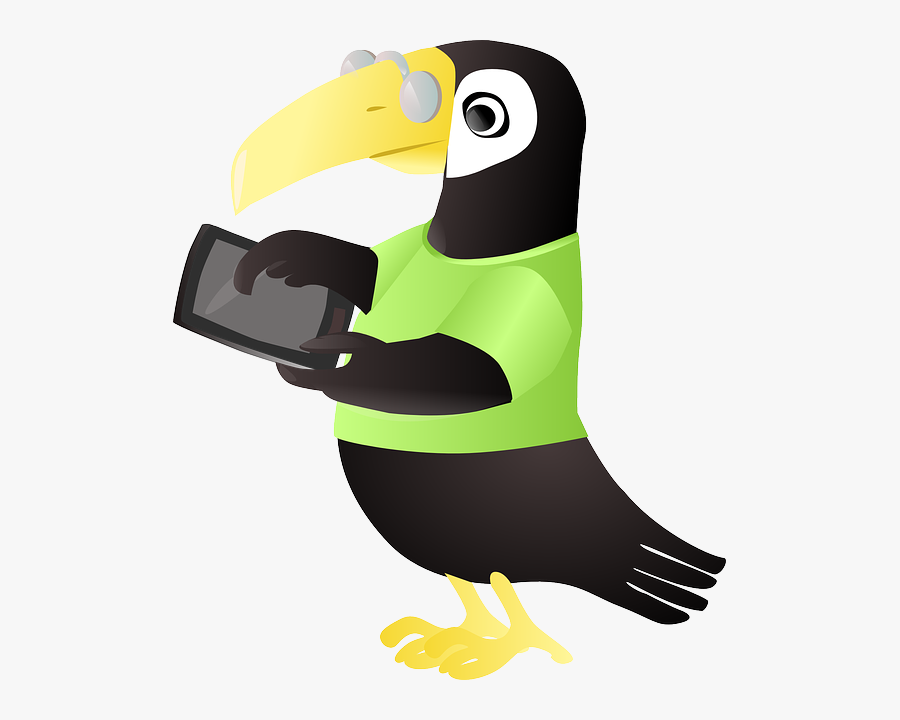 Toucan Computer, Transparent Clipart