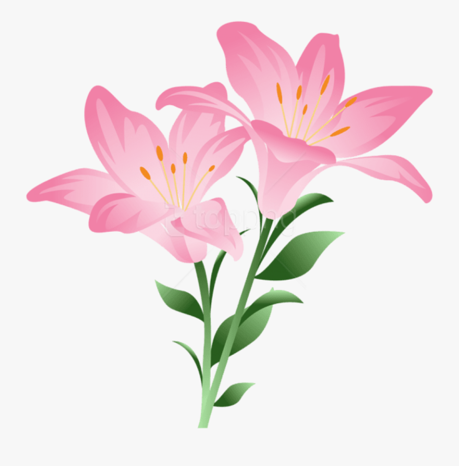 Clip Art Lilies Vector, Transparent Clipart
