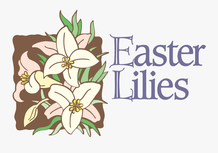 Easter Lilies For The Church, Transparent Clipart