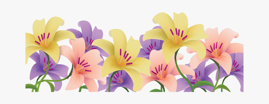 Lily, Transparent Clipart