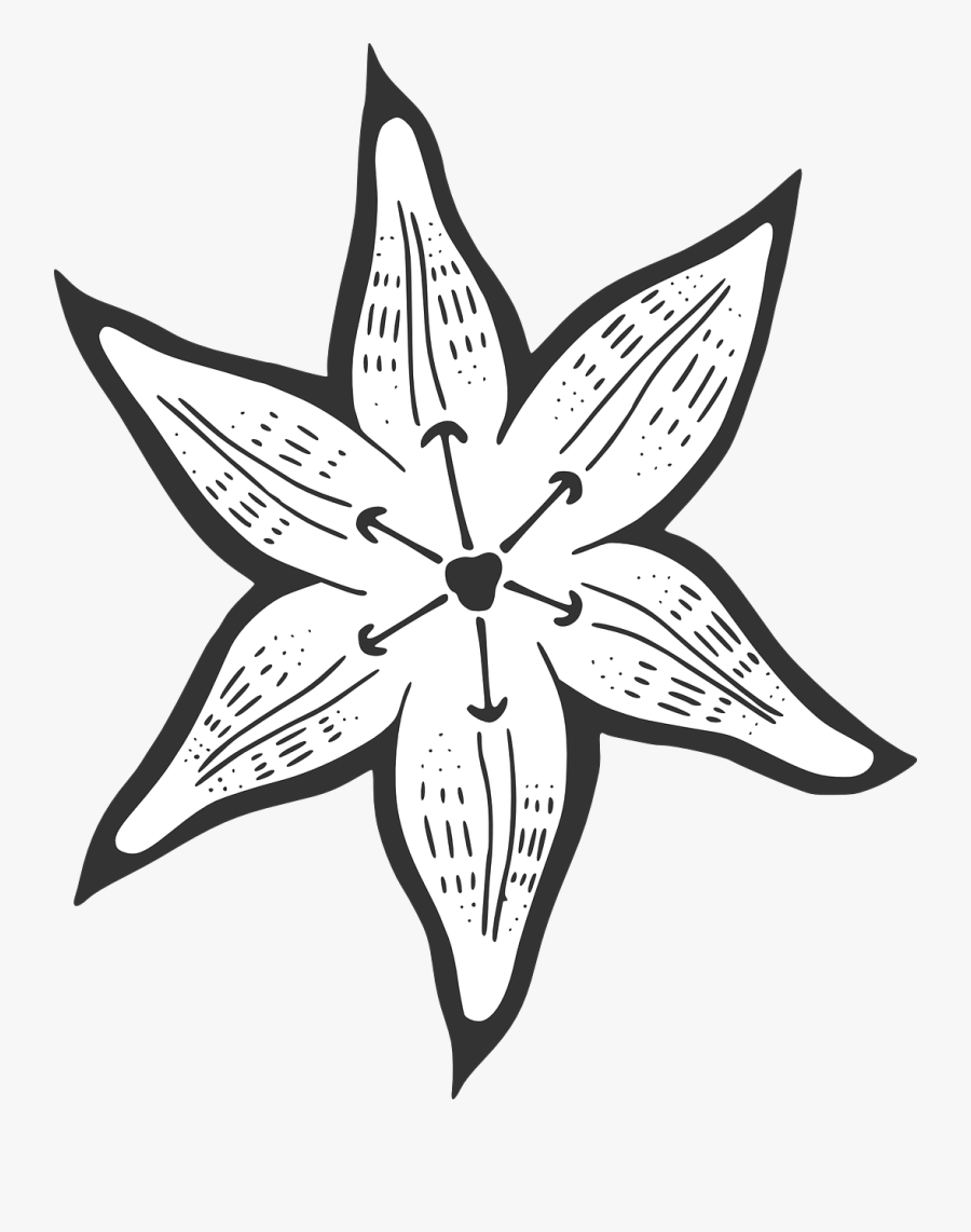 Transparent Easter Lily Clipart Black And White - Download Imagem Bitmap Bmp, Transparent Clipart