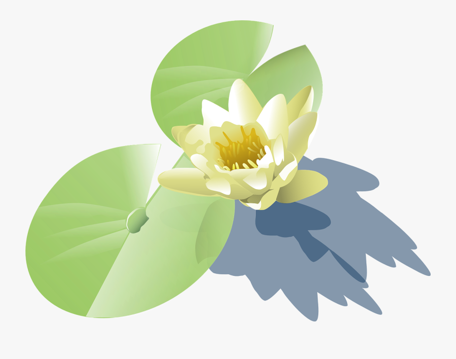 Lily Cross Cliparts - Lily Pad Clip Art, Transparent Clipart