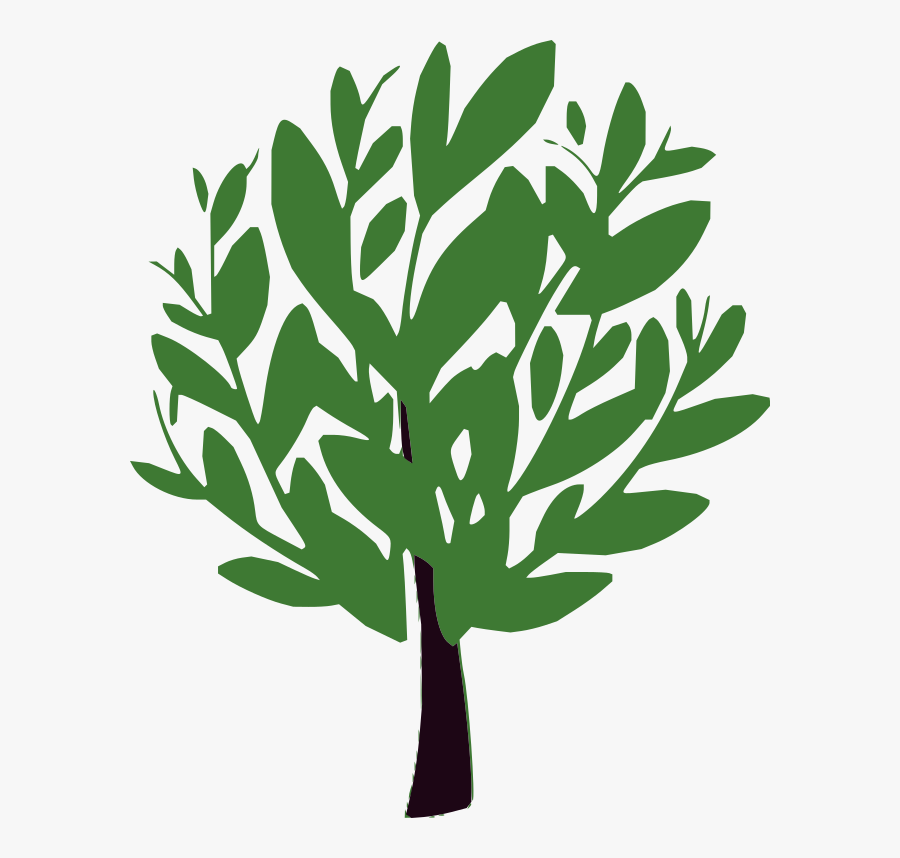 The Bay Tree - Bay Tree Clipart, Transparent Clipart