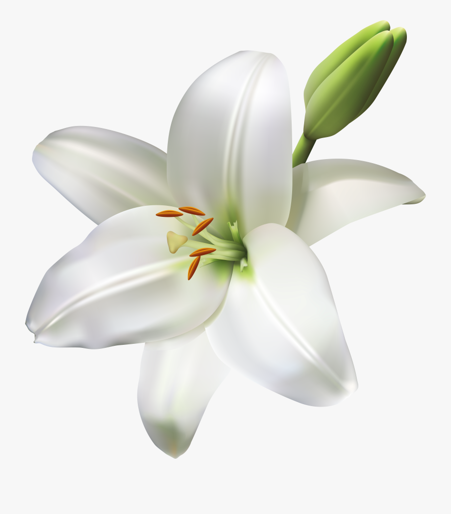 Flower Transparent Png Clip, Transparent Clipart
