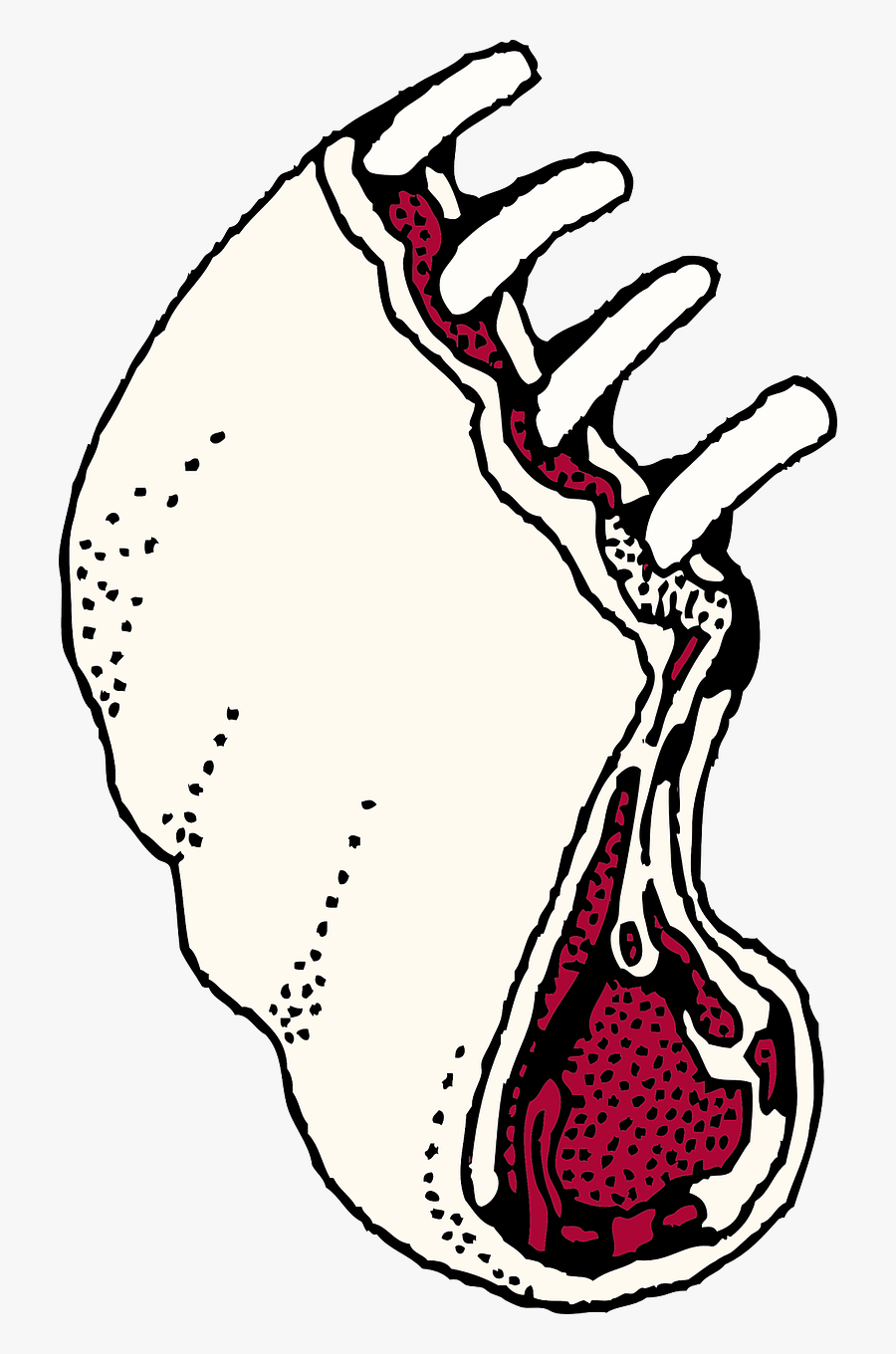 Rack Of Lamb Clipart, Transparent Clipart