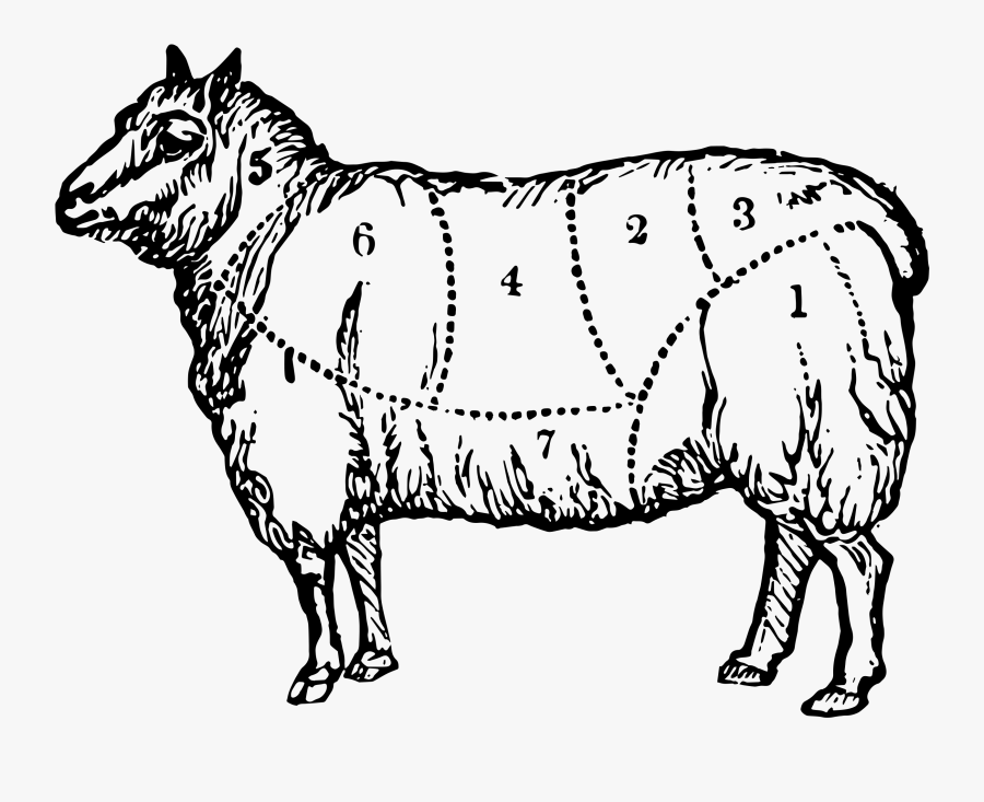 Cattle, Transparent Clipart