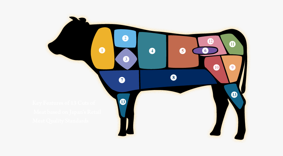 Beef 13 Cut, Transparent Clipart