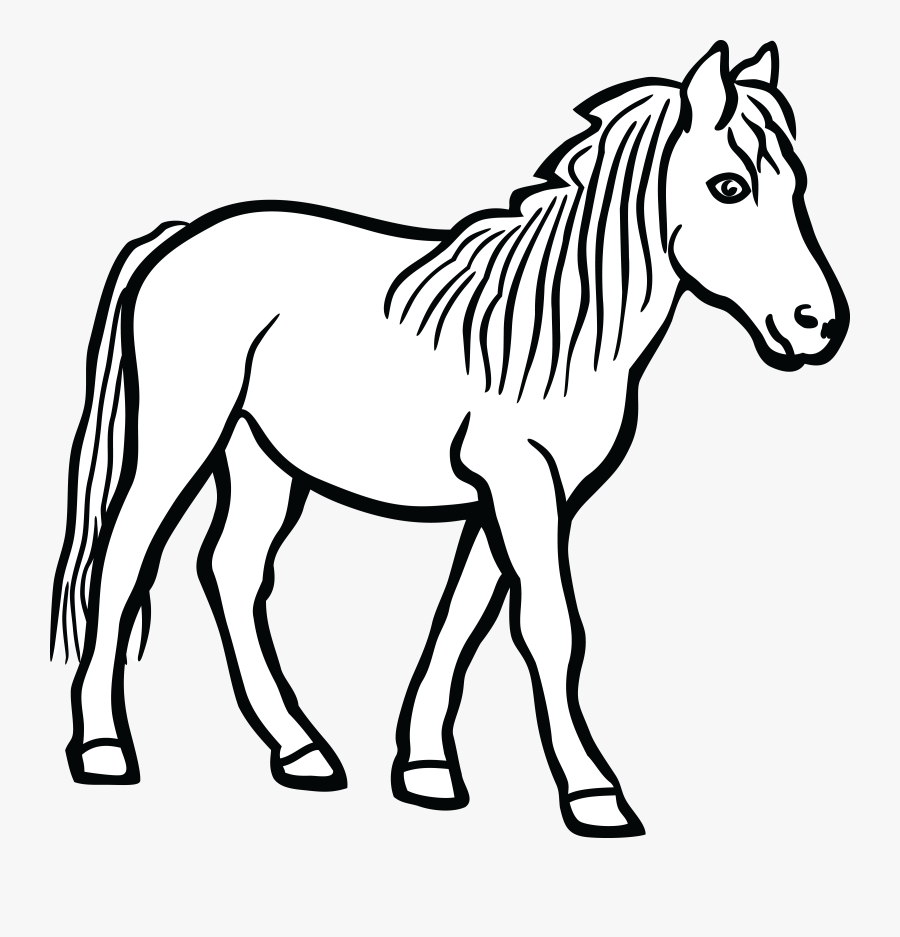 Quarter Clipart Head Illustration - Clip Art Horse Black And White, Transparent Clipart