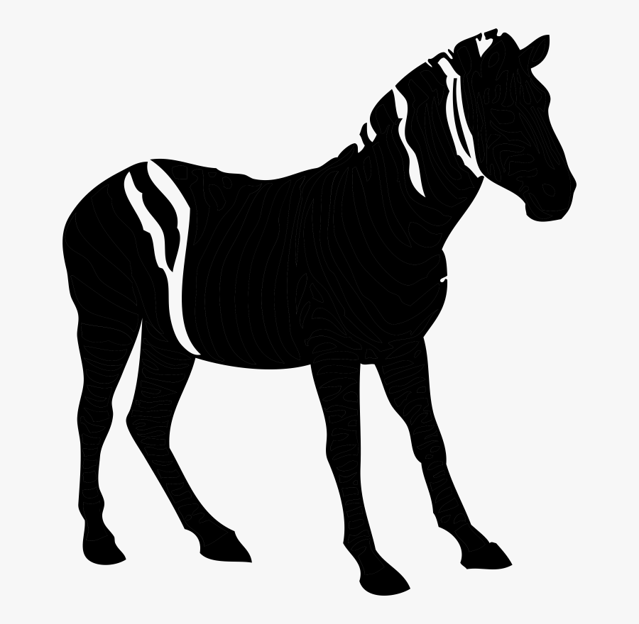 American Quarter Horse Silhouette Clip Art Image Pony - Mane, Transparent Clipart
