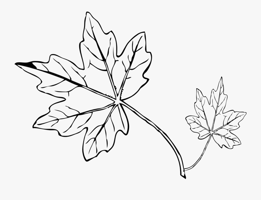 Tree Leaves Drawing At Getdrawings - Small Leaf Black And White, Transparent Clipart