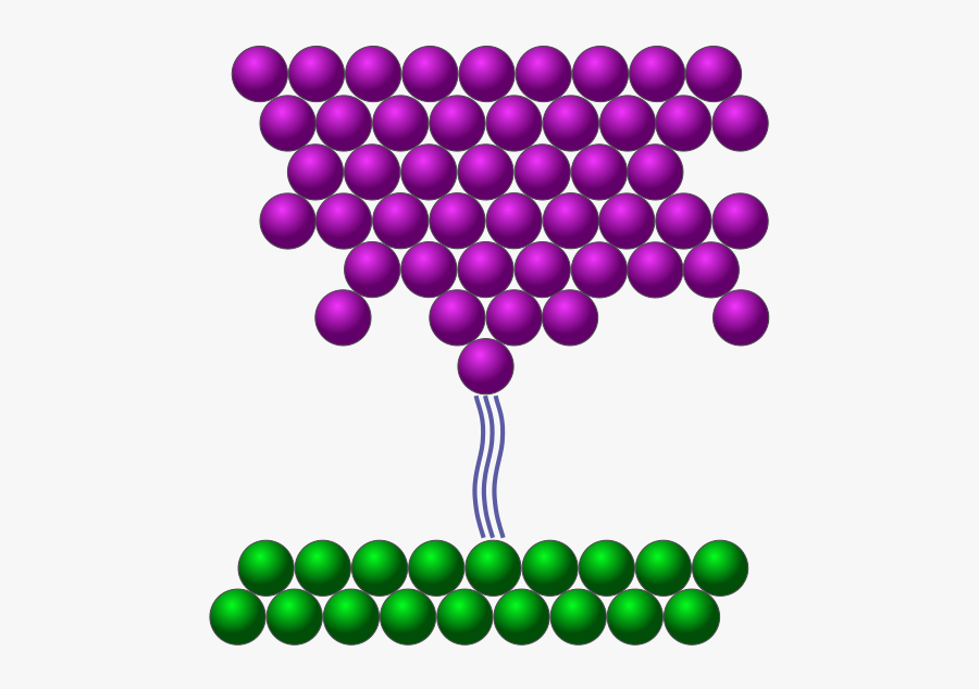 Scanning Tunneling Microscope, Transparent Clipart