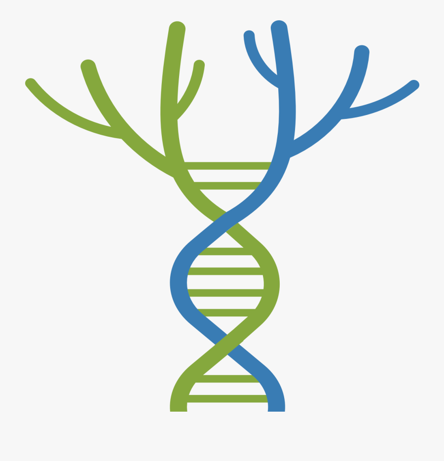 Indudayal Science College Patan Website, Transparent Clipart