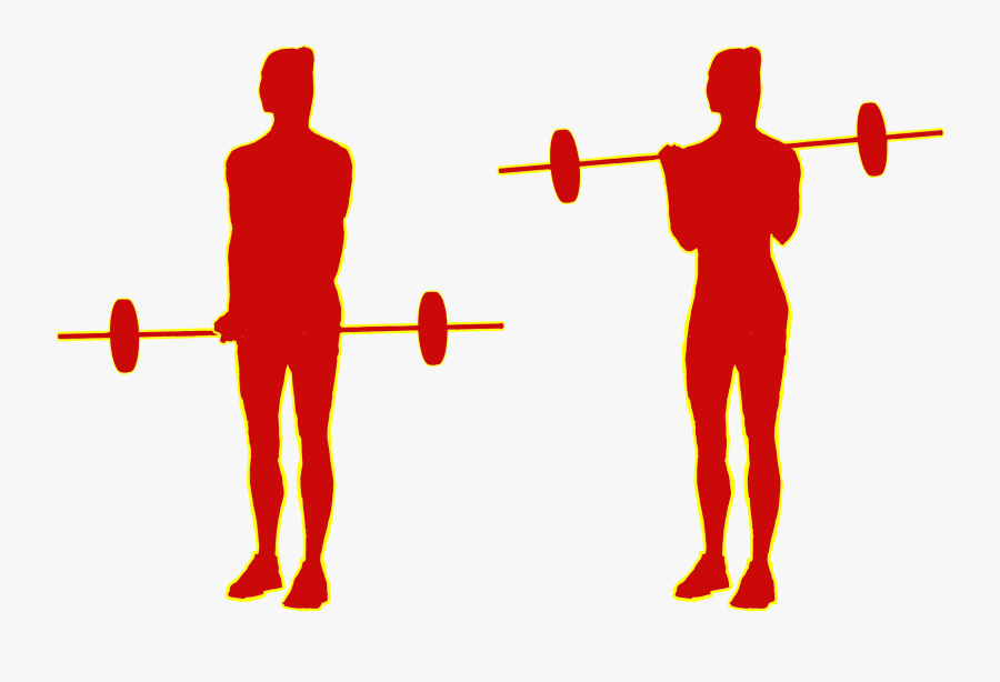 Barbell Or Cable-curls 21s - Powerlifting, Transparent Clipart