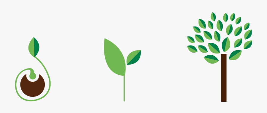 Graphic Design, Transparent Clipart