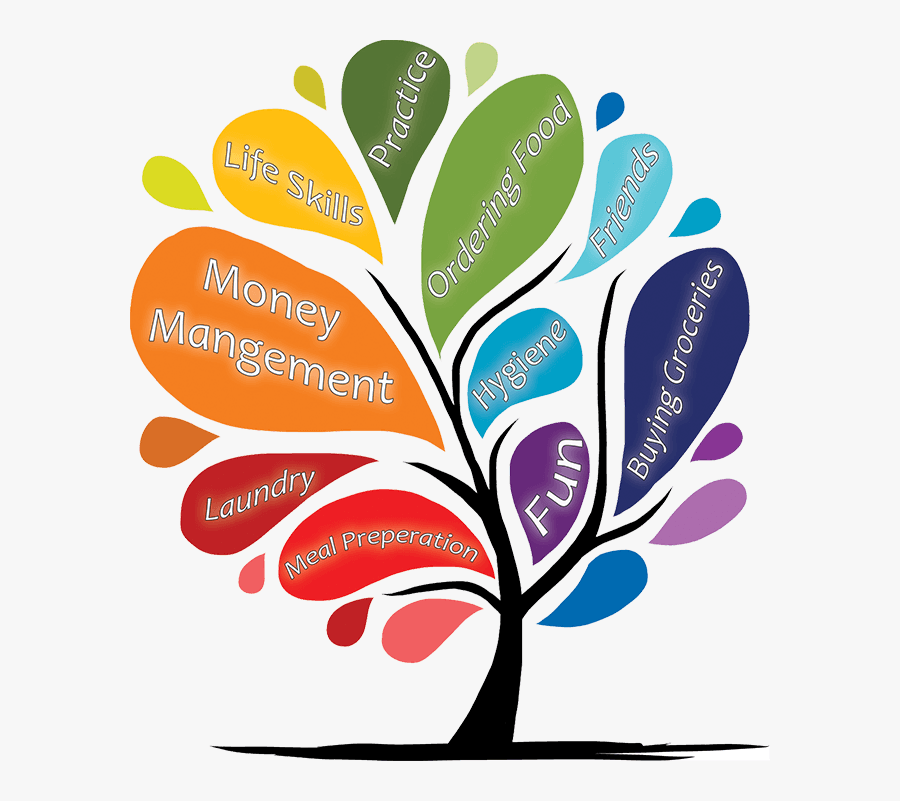 Life Skills Tree Web, Transparent Clipart