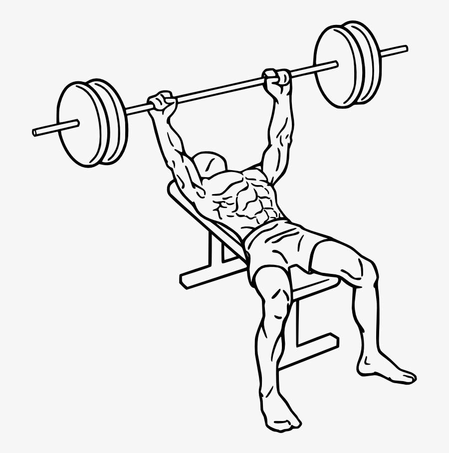 Vector Black And White Drawing At Getdrawings Com Free - Bench Press Png, Transparent Clipart