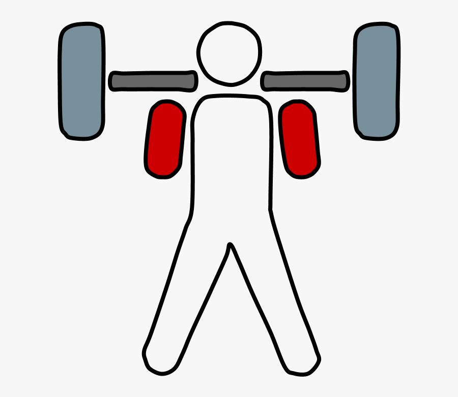 Weightlifter, Barbell, Transparent Clipart