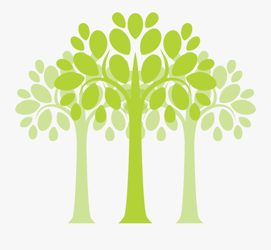 Plants Trees - Transparent Moringa Tree Png, Transparent Clipart