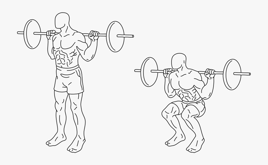 Squat Exercise Wikiwand The - Squats Exercise, Transparent Clipart