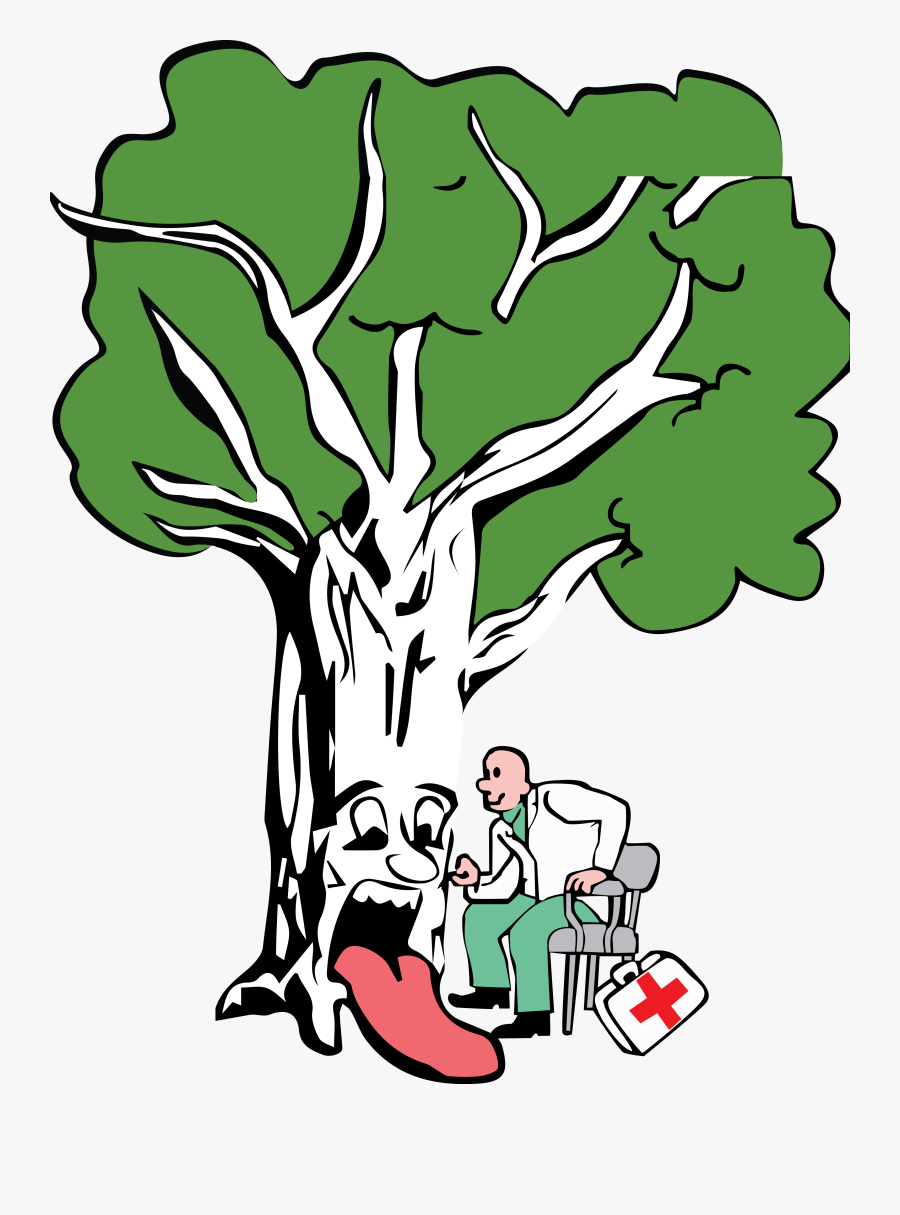 Tree, Transparent Clipart