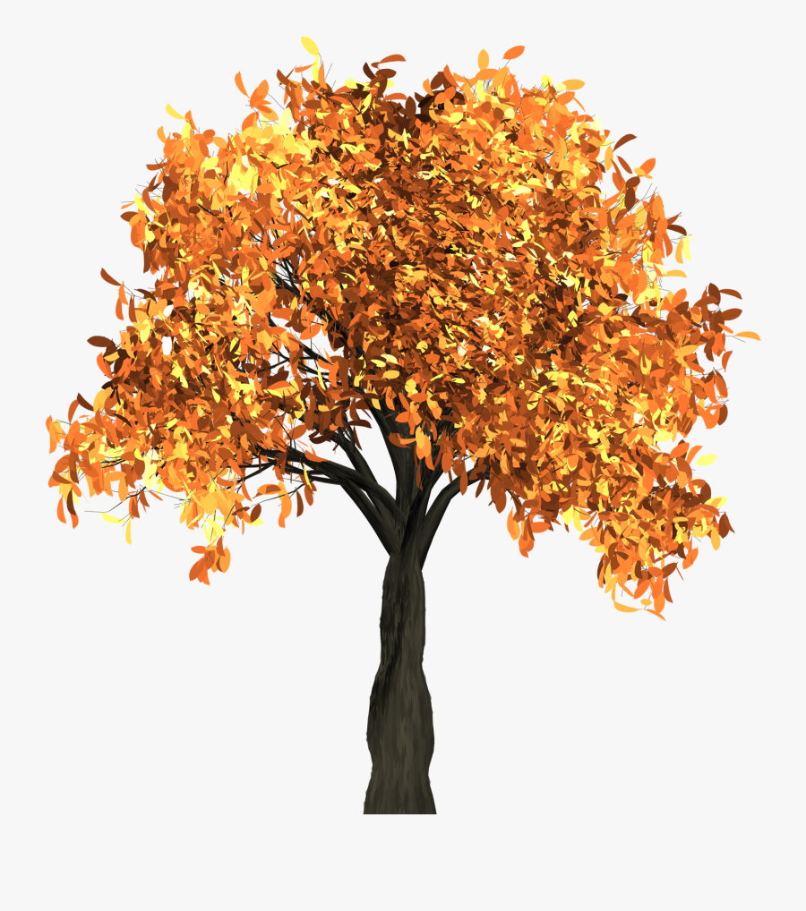 Autumn Tree Transparent Background, Transparent Clipart