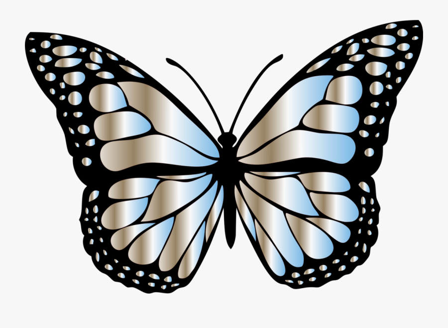 Butterfly,symmetry,moth - Different Colors Of Butterfly, Transparent Clipart