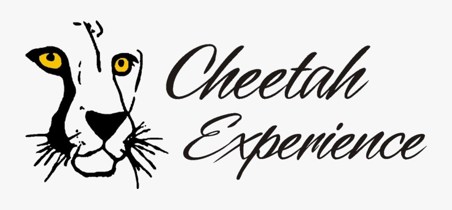 Cheetah, Transparent Clipart