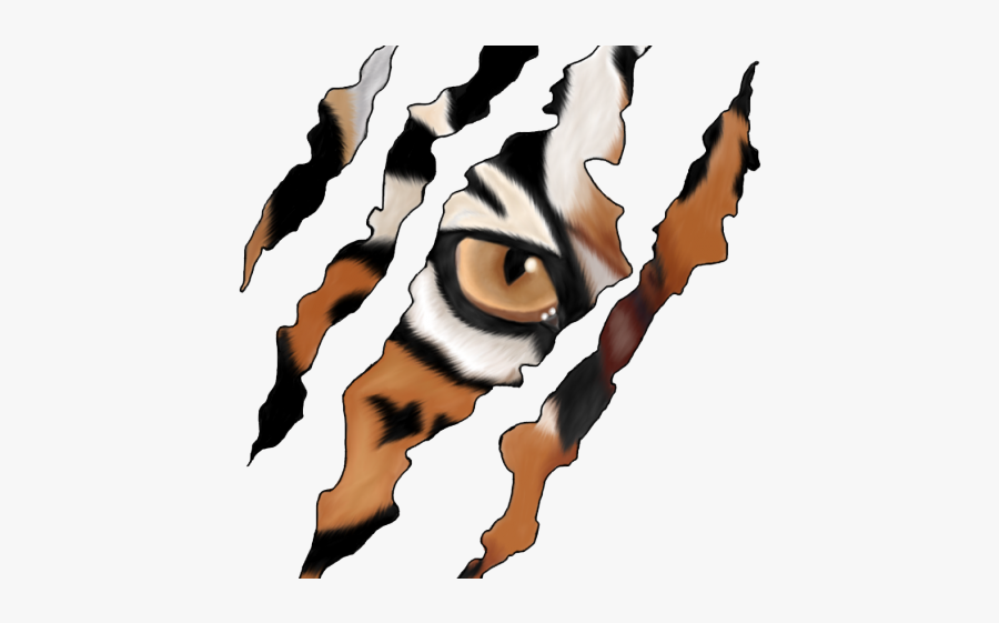 Garras De Tigre Png, Transparent Clipart