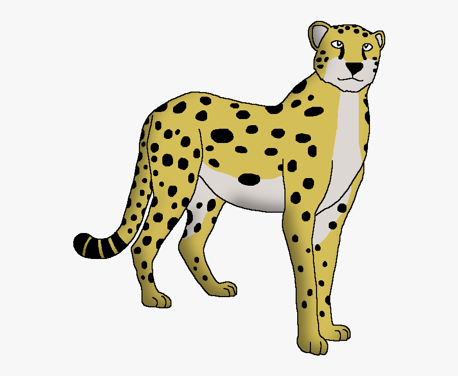 Wildlife Animal Pedia Wiki, Transparent Clipart