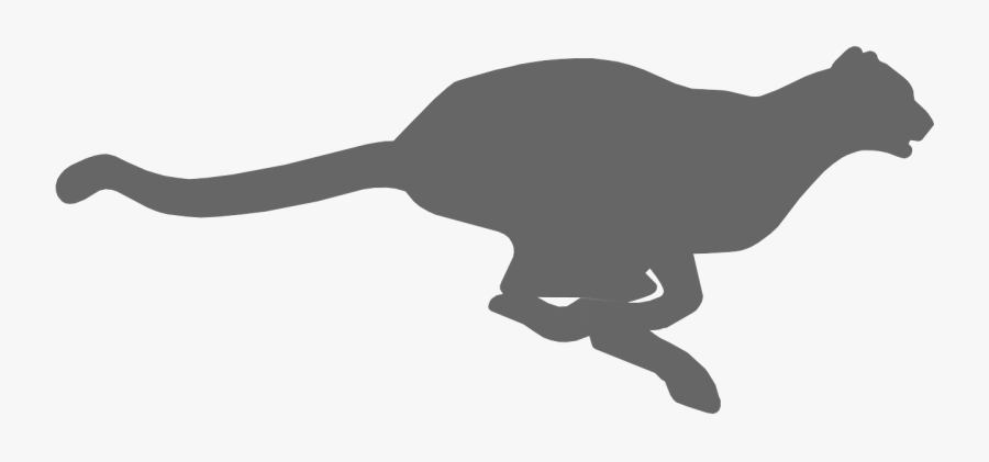 Cheetah Icon Png, Transparent Clipart
